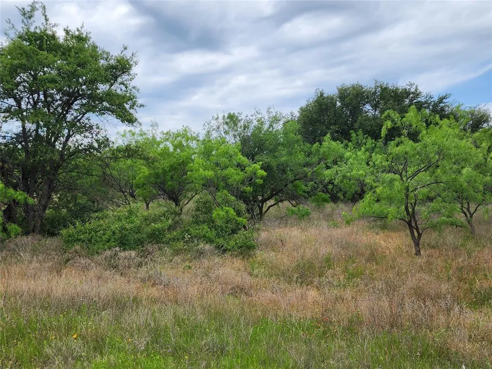 County Road 125 Cisco, TX 76437