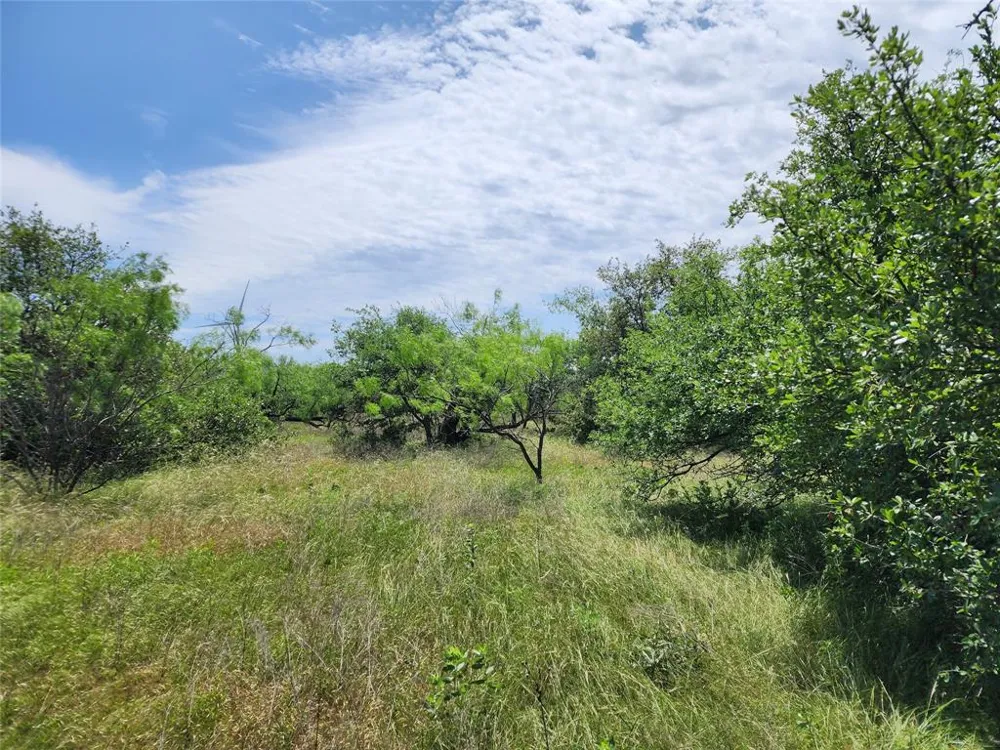 County Road 125 Cisco, TX 76437