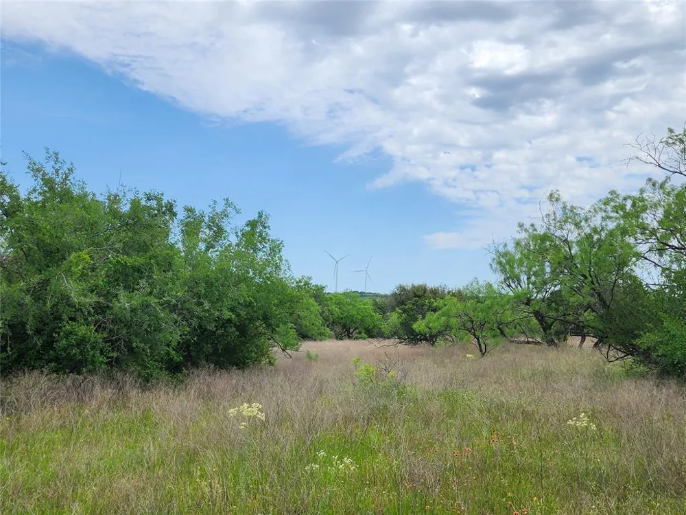 County Road 125 Cisco, TX 76437