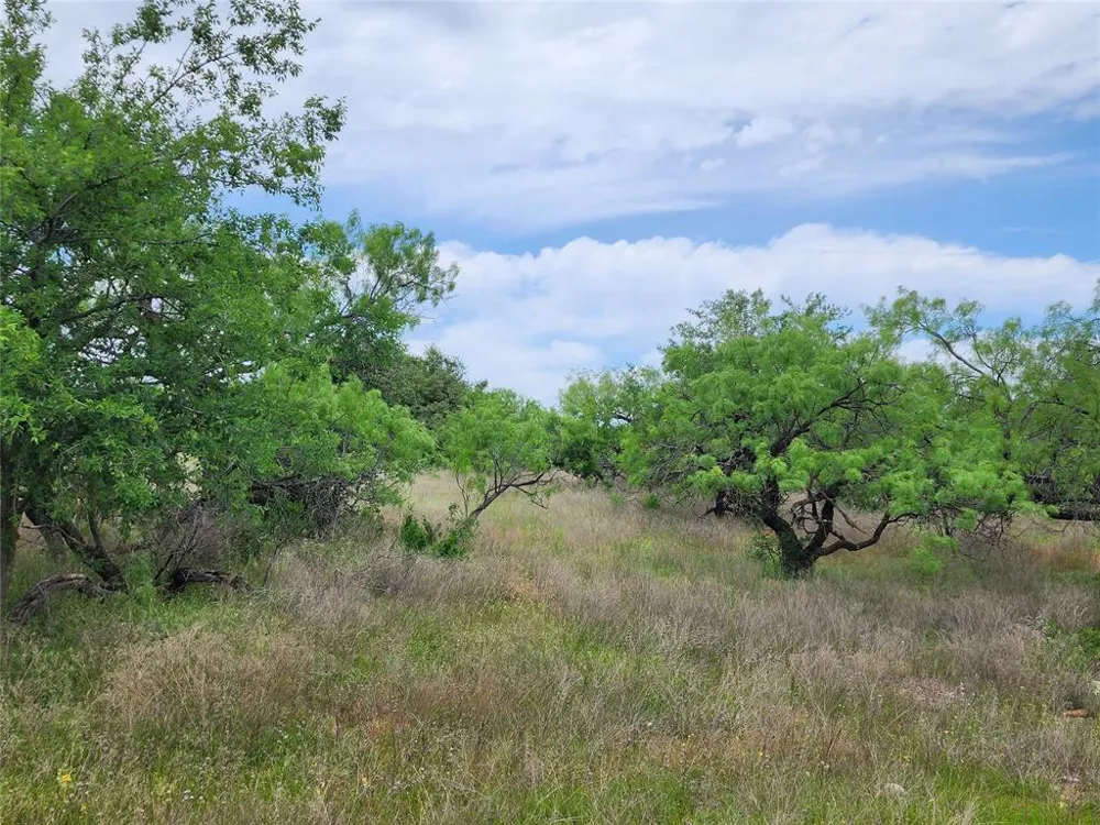 County Road 125 Cisco, TX 76437