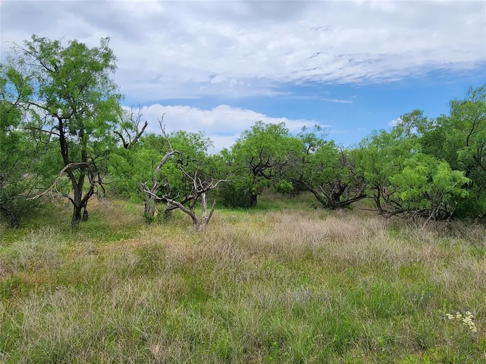 County Road 125 Cisco, TX 76437