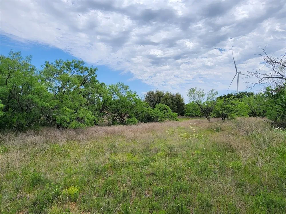 County Road 125 Cisco, TX 76437