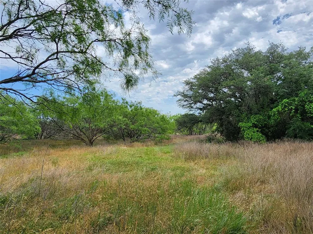 County Road 125 Cisco, TX 76437