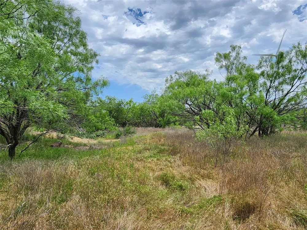 County Road 125 Cisco, TX 76437