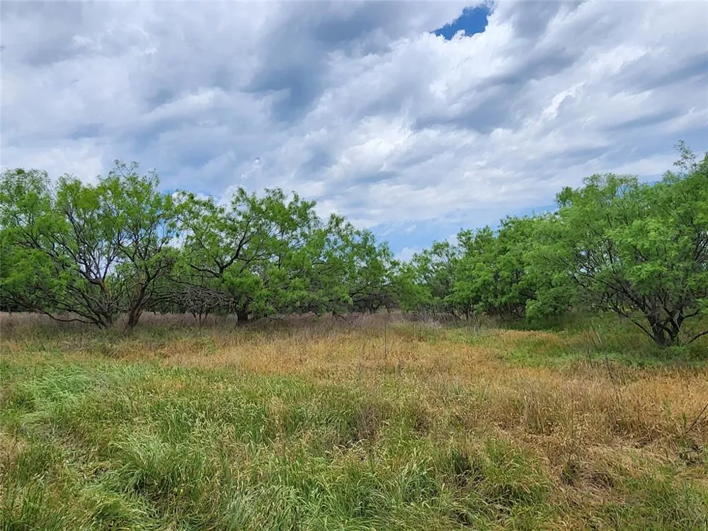 County Road 125 Cisco, TX 76437