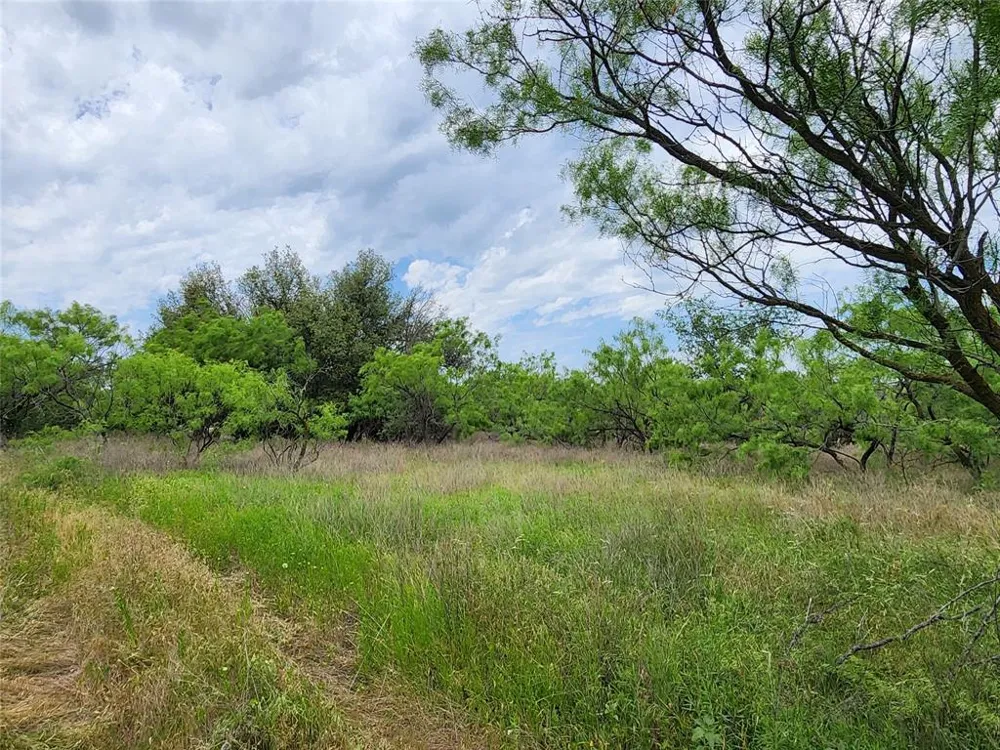 County Road 125 Cisco, TX 76437