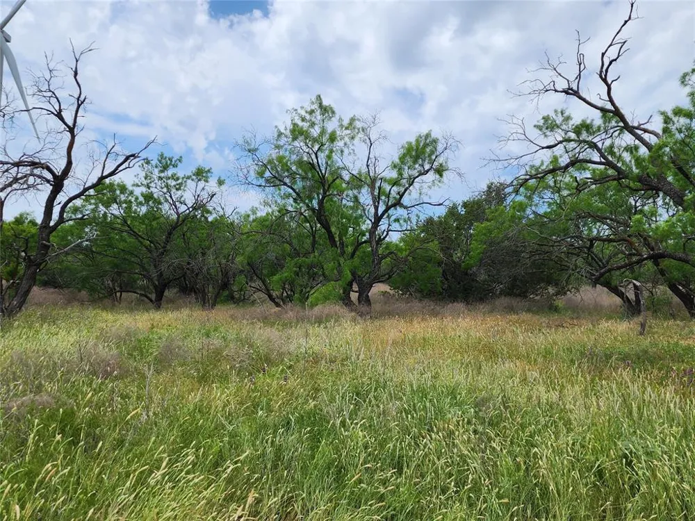 County Road 125 Cisco, TX 76437