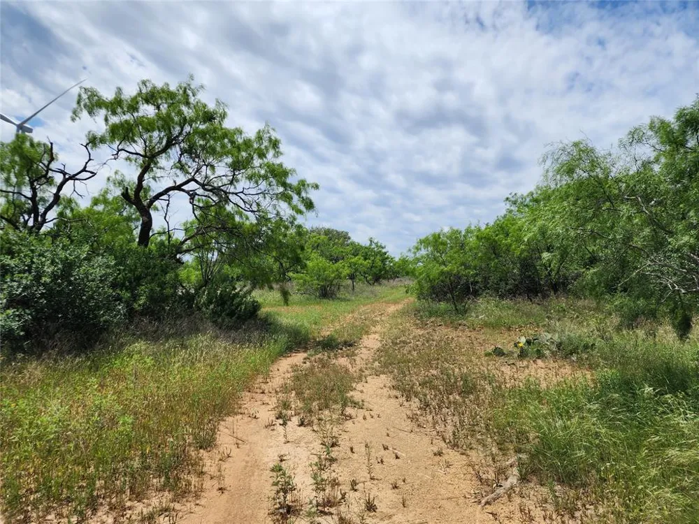County Road 125 Cisco, TX 76437