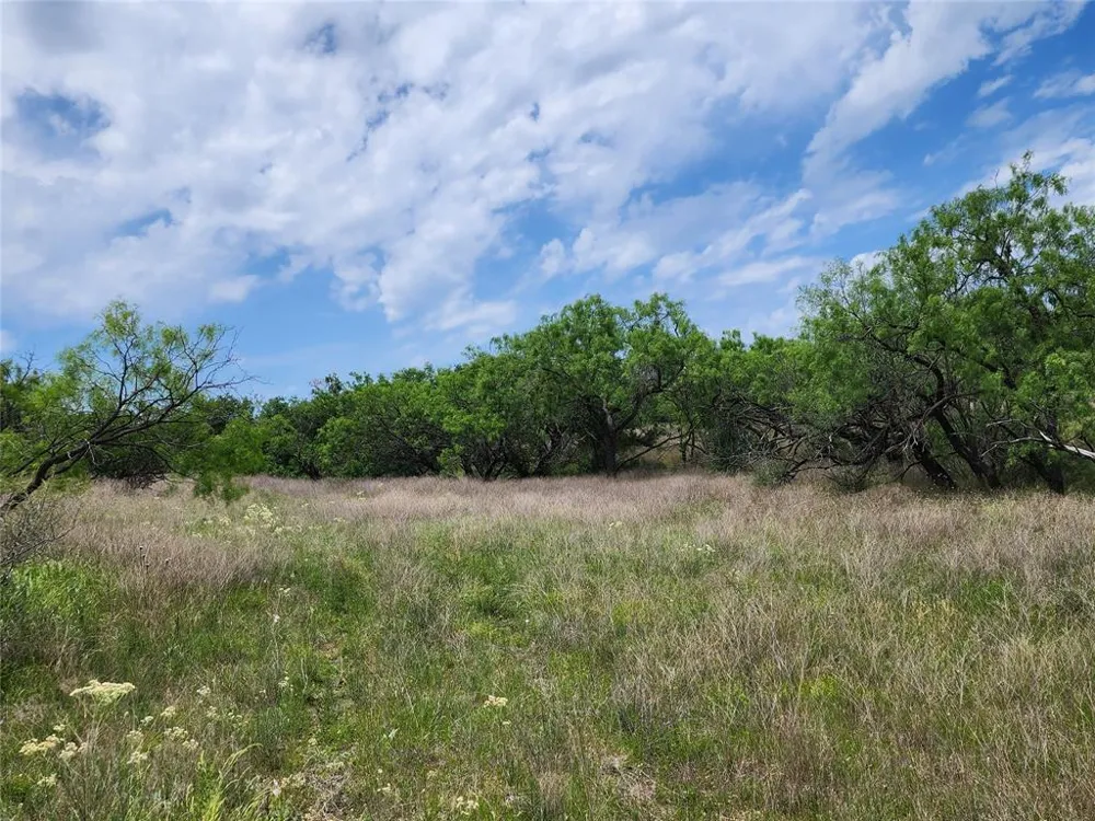 County Road 125 Cisco, TX 76437