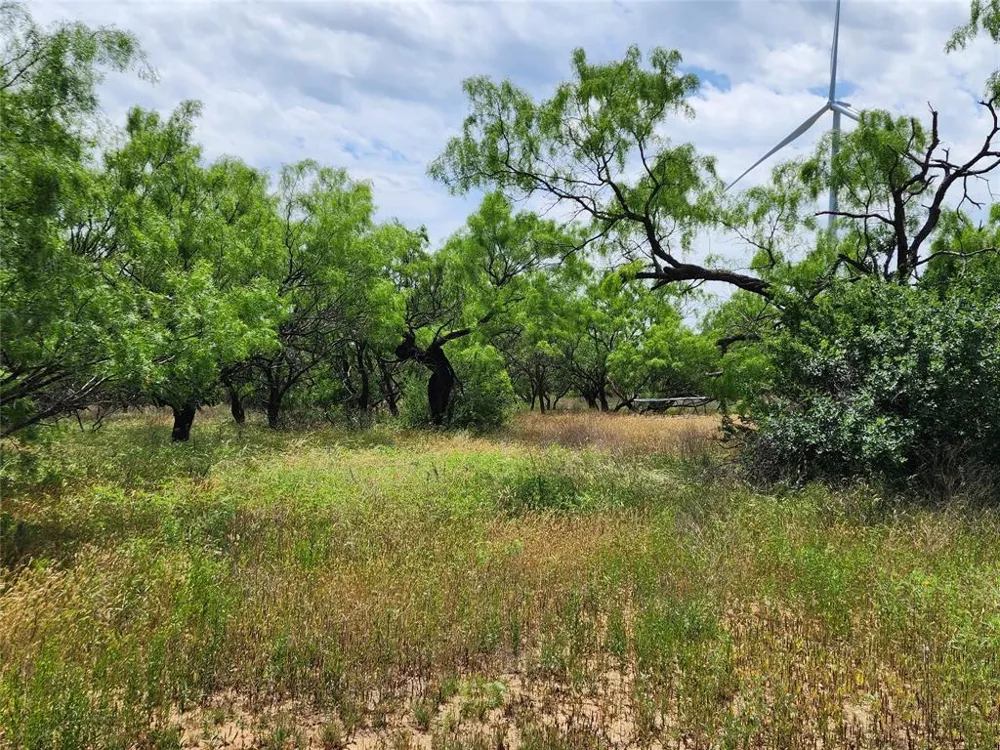 County Road 125 Cisco, TX 76437