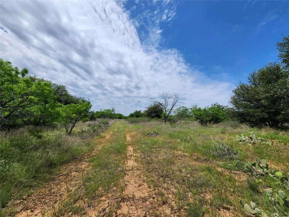 County Road 125 Cisco, TX 76437
