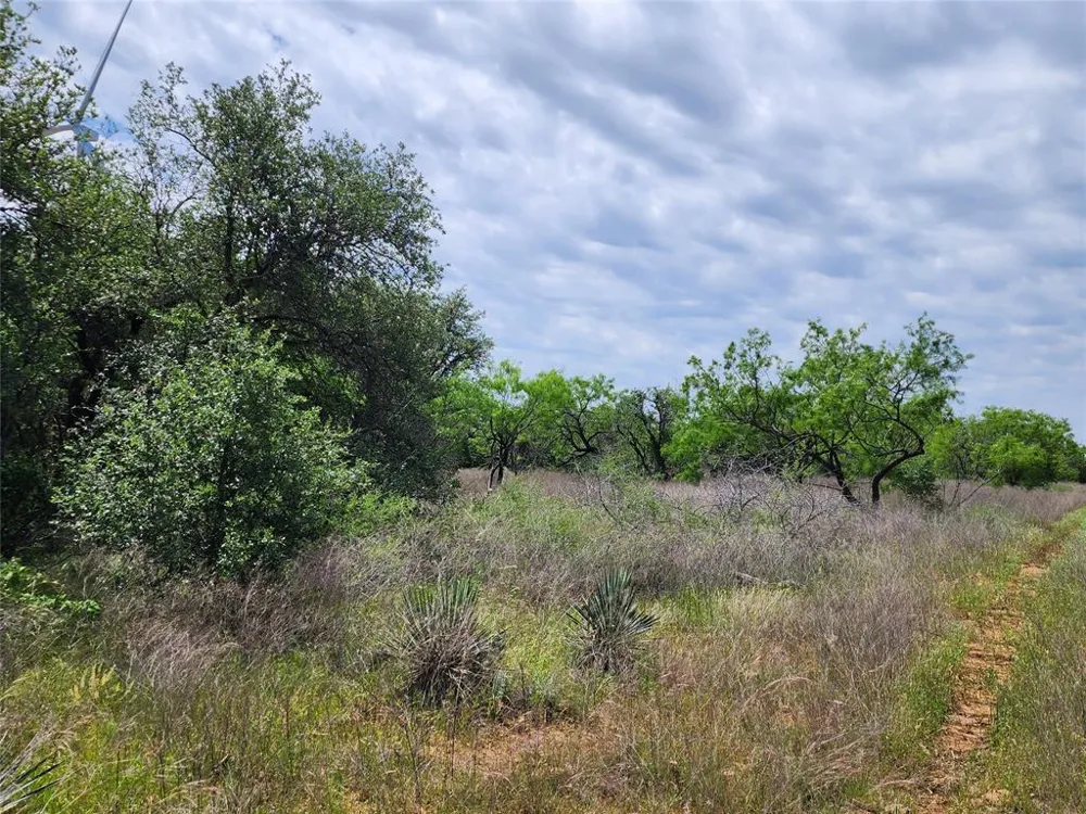 County Road 125 Cisco, TX 76437