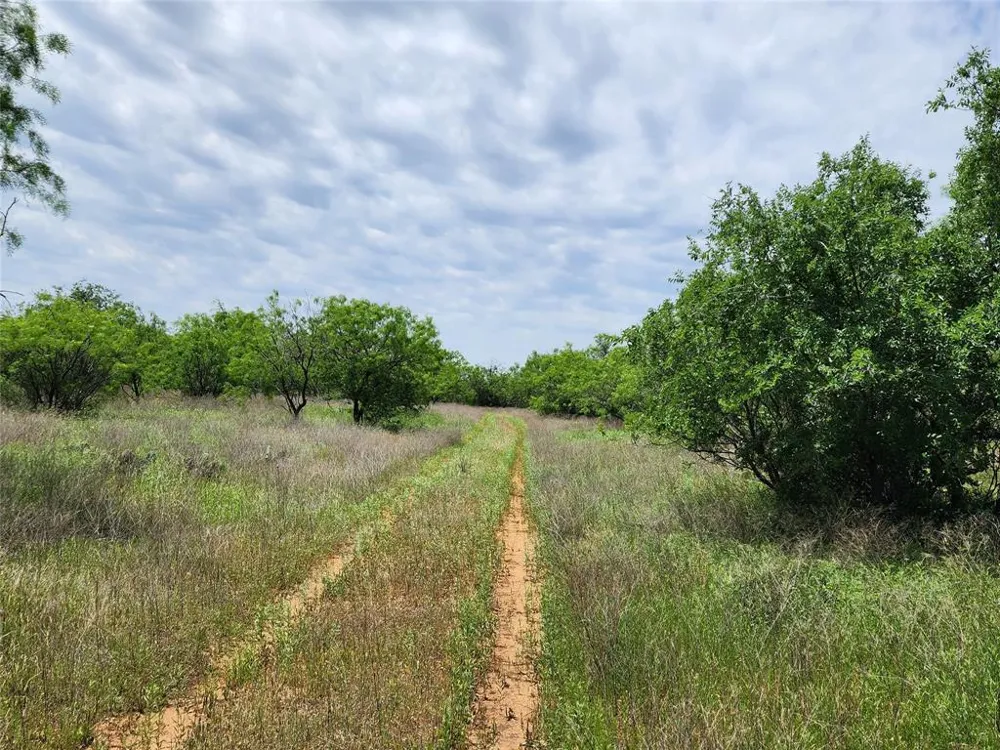 County Road 125 Cisco, TX 76437