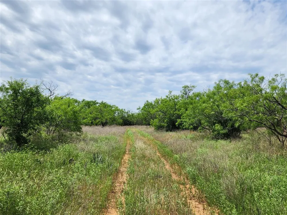 County Road 125 Cisco, TX 76437