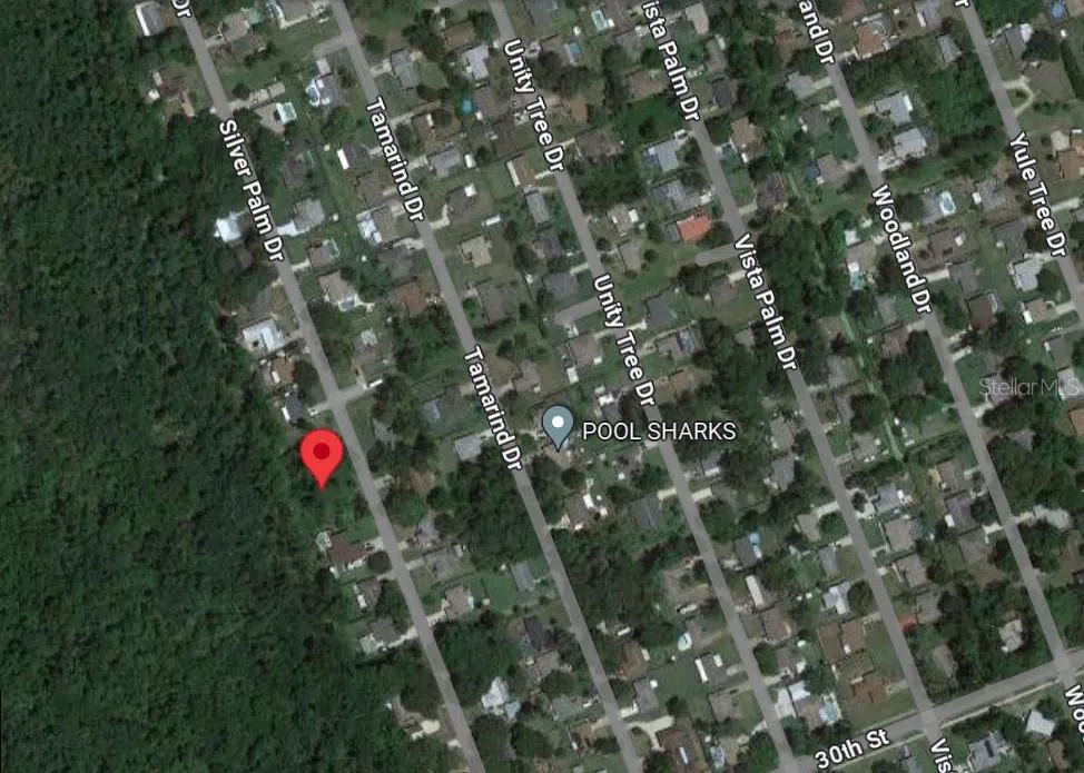 SILVER PALM DRIVE Edgewater, FL 32141
