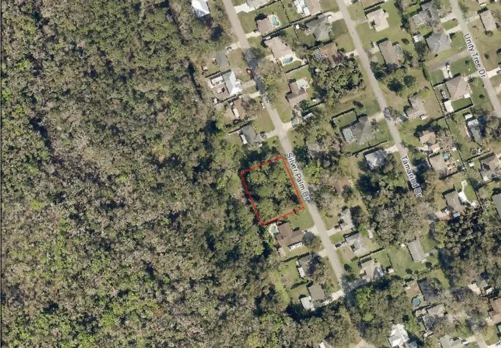 SILVER PALM DRIVE Edgewater, FL 32141