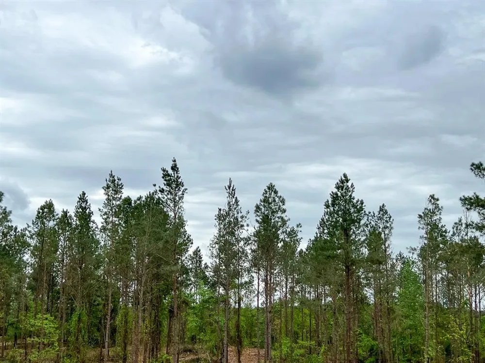 5 CR 2145 Latexo, TX 75835