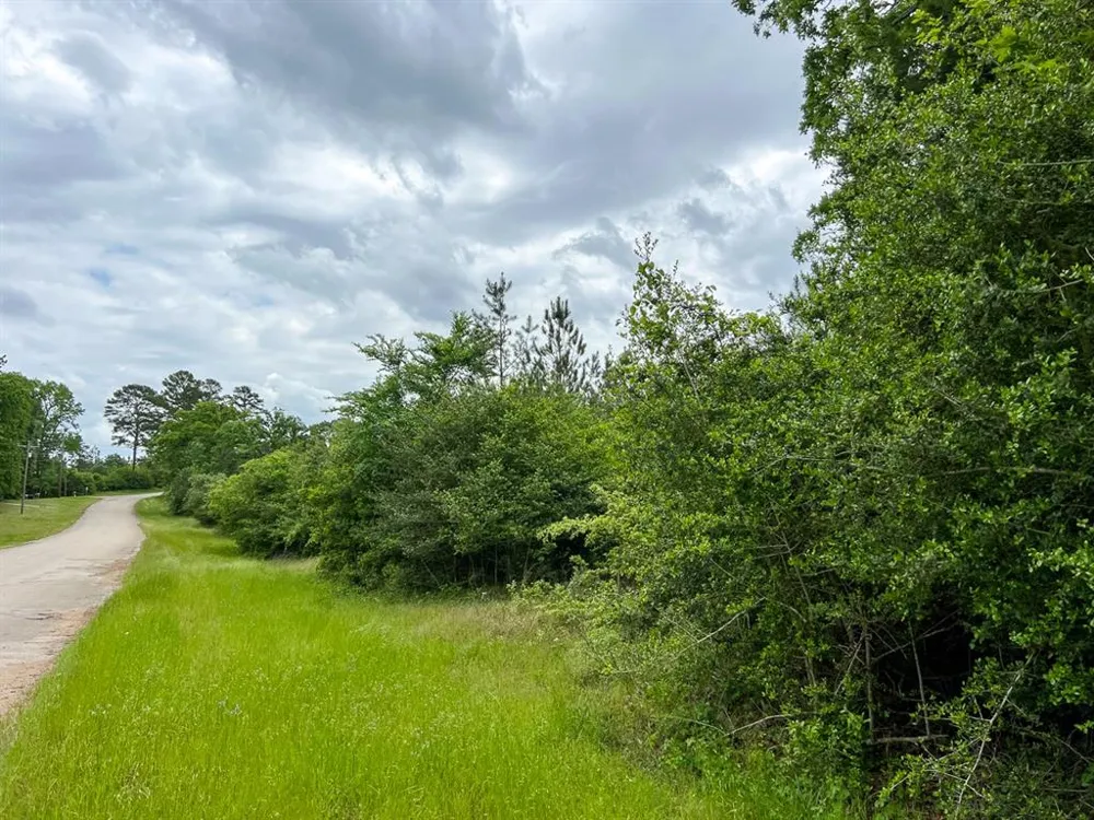 5 CR 2145 Latexo, TX 75835