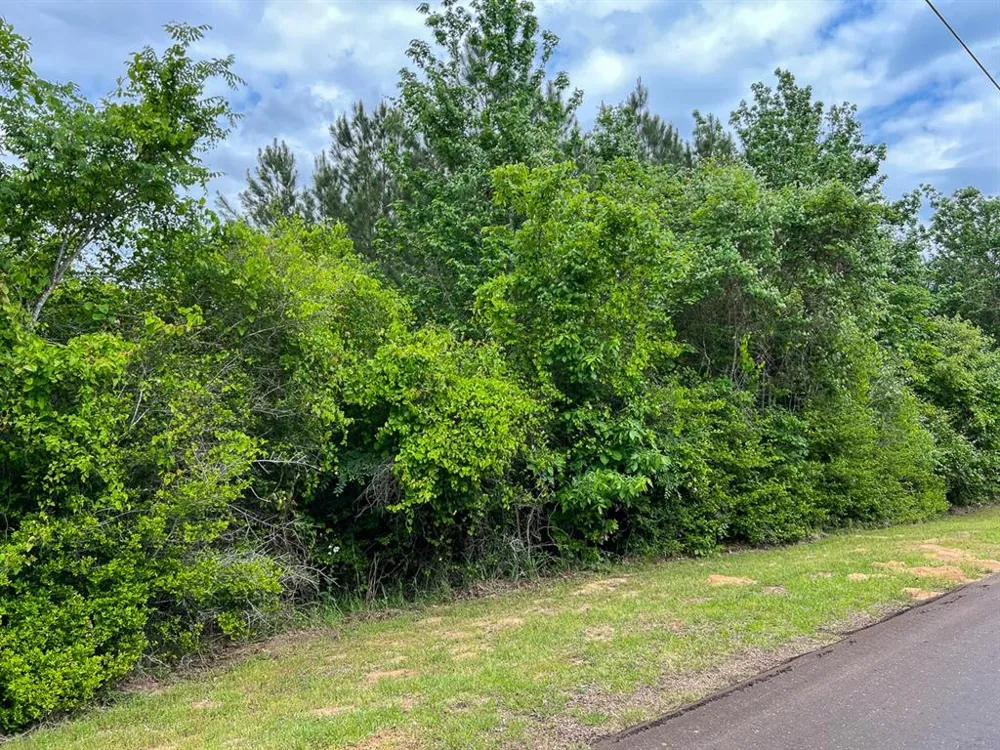 5 CR 2145 Latexo, TX 75835