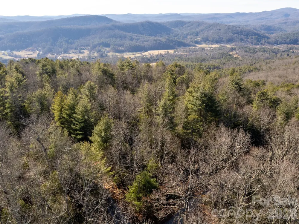 72 Emma Bri Lane Penrose, NC 28766