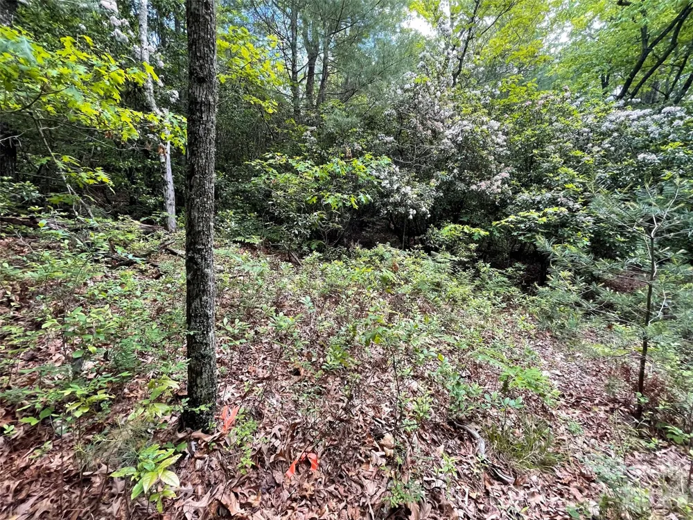 72 Emma Bri Lane Penrose, NC 28766
