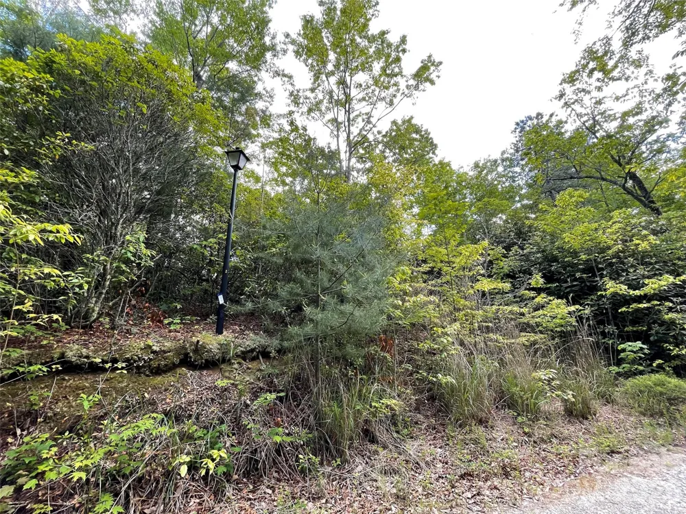 72 Emma Bri Lane Penrose, NC 28766