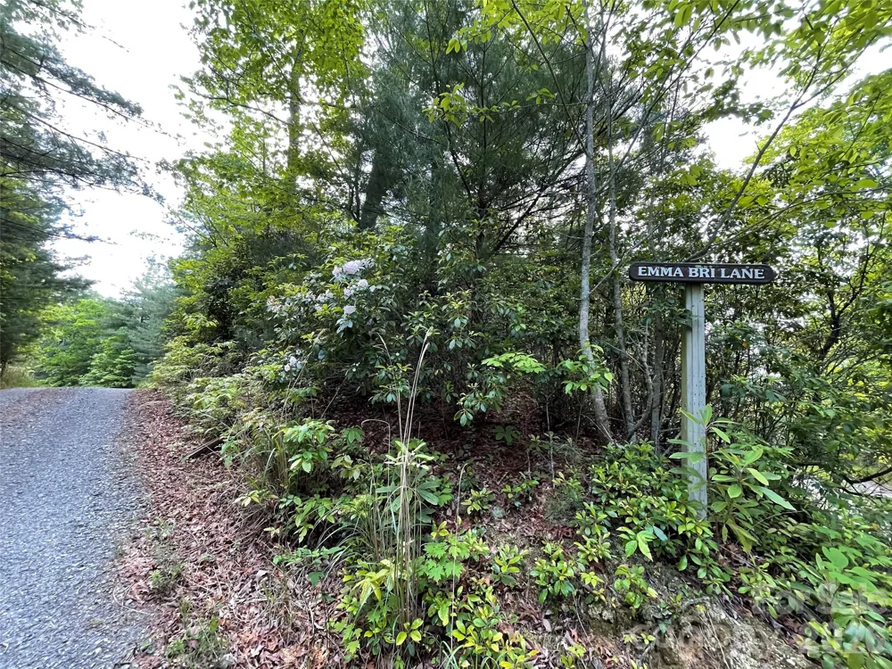 72 Emma Bri Lane Penrose, NC 28766