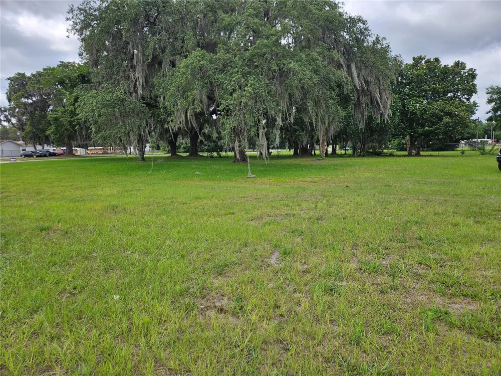 204 HUEY STREET Wildwood, FL 34785