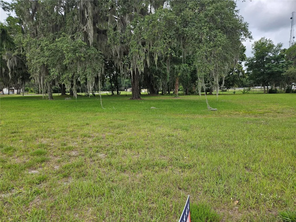 204 HUEY STREET Wildwood, FL 34785