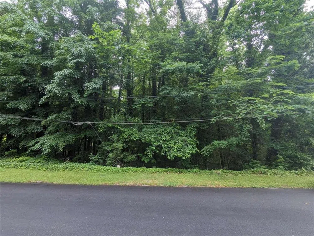 00 Dodson East Point, GA 30344