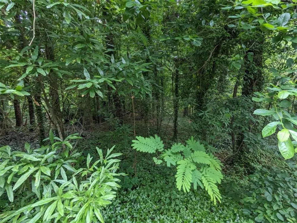 00 Dodson East Point, GA 30344