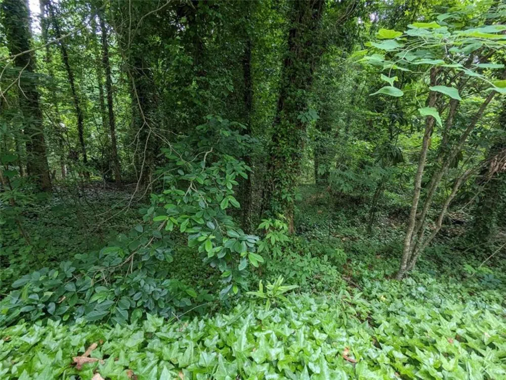 00 Dodson East Point, GA 30344