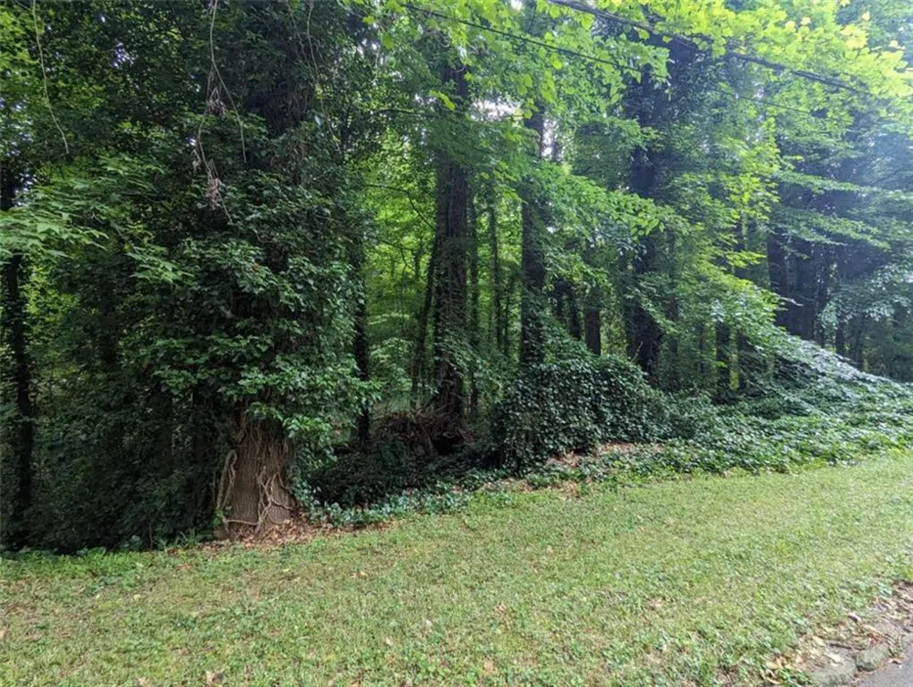 00 Dodson East Point, GA 30344