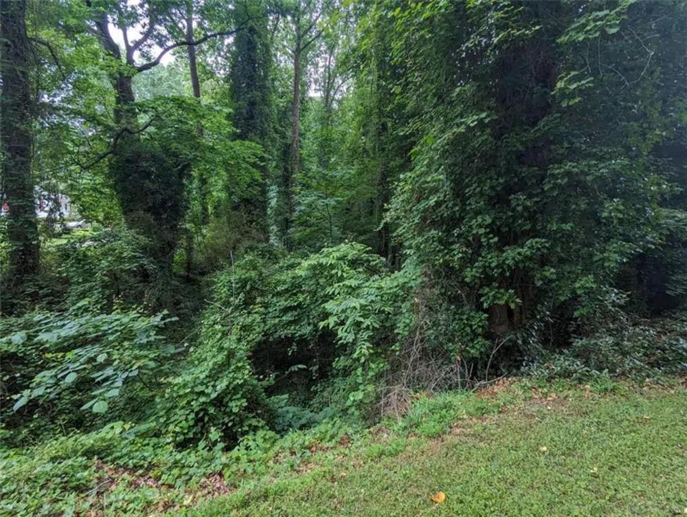 00 Dodson East Point, GA 30344