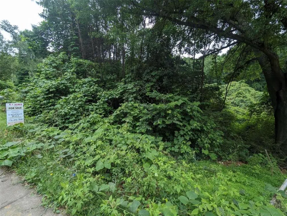 00 Dodson East Point, GA 30344