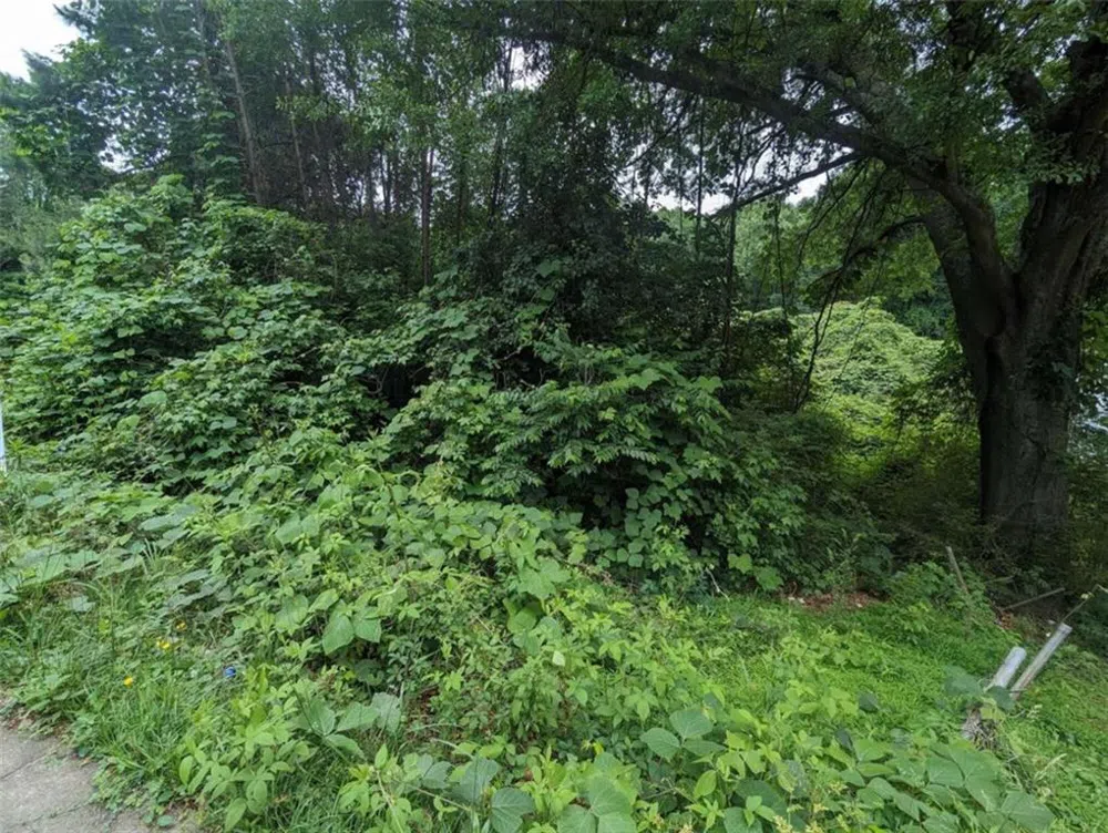 00 Dodson East Point, GA 30344