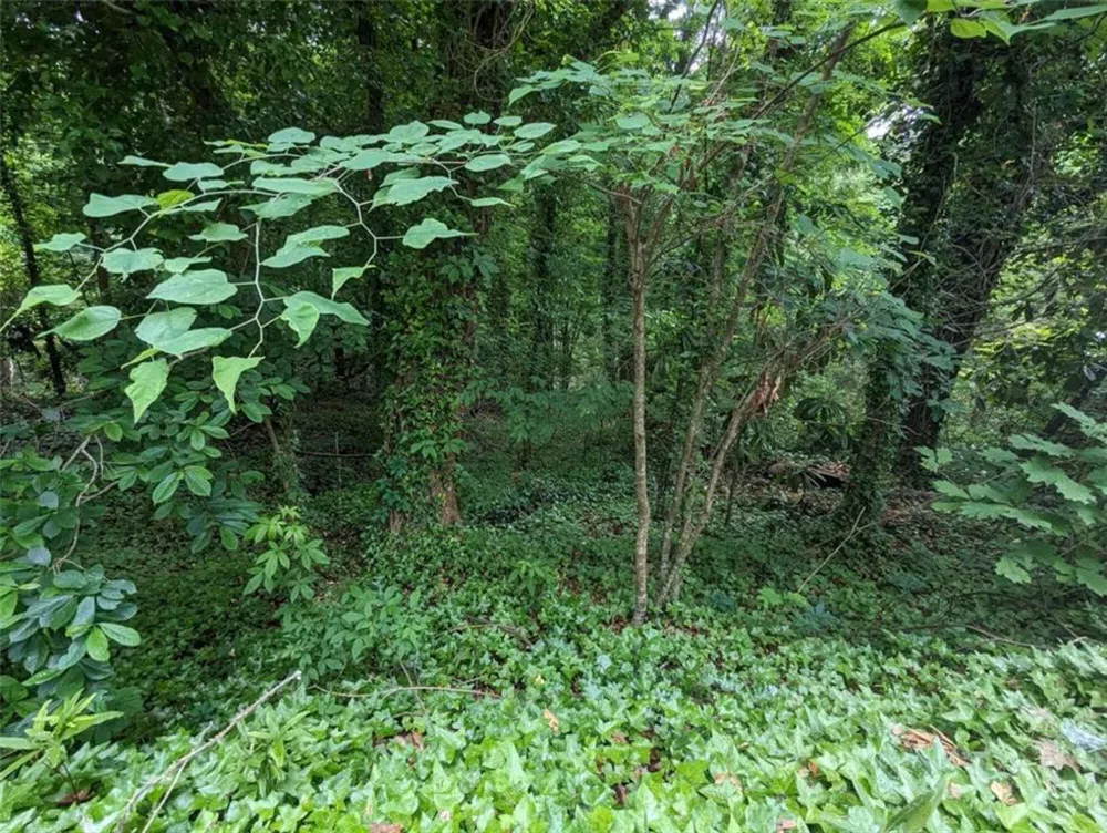 00 Dodson East Point, GA 30344