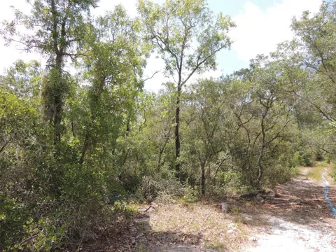 5551 SW 103RD COURT