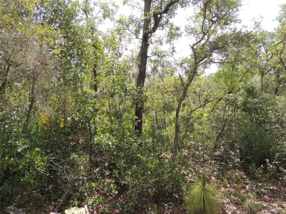 5551 SW 103RD COURT Cedar Key, FL 32625