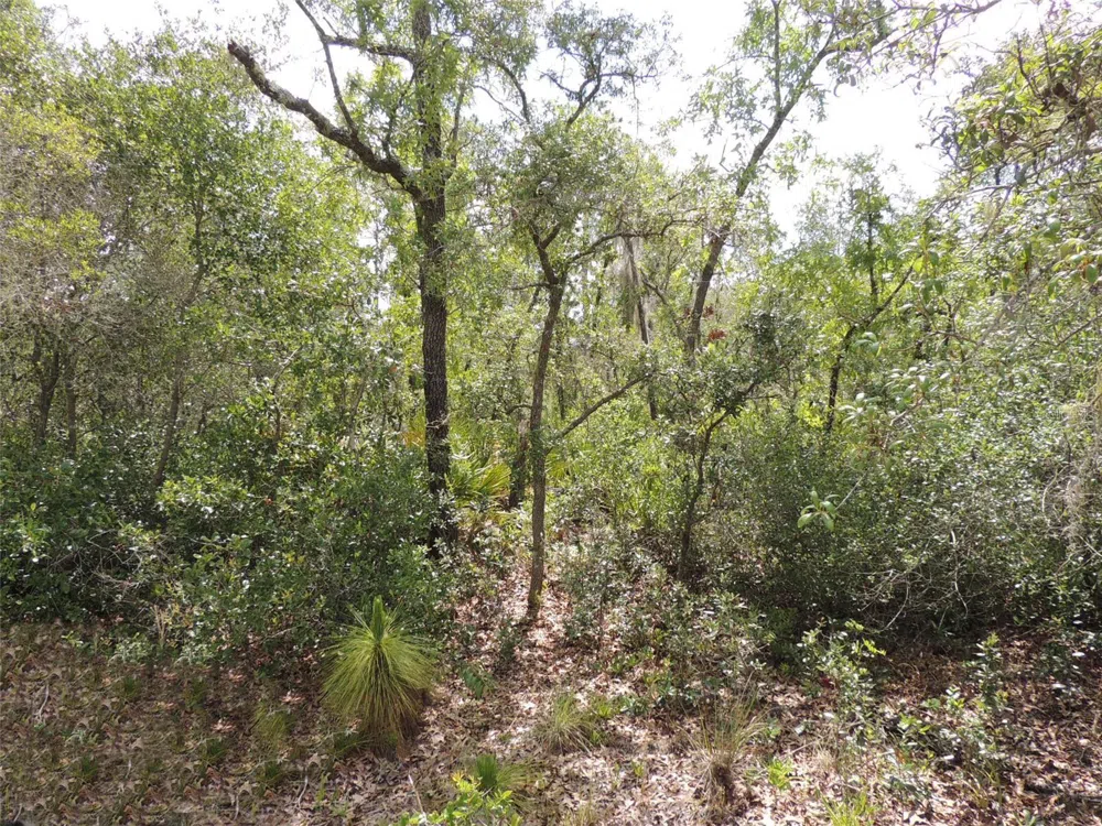 5551 SW 103RD COURT Cedar Key, FL 32625