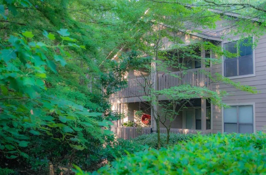 3450 K Jones Mill Road #0705 Norcross, GA 30092