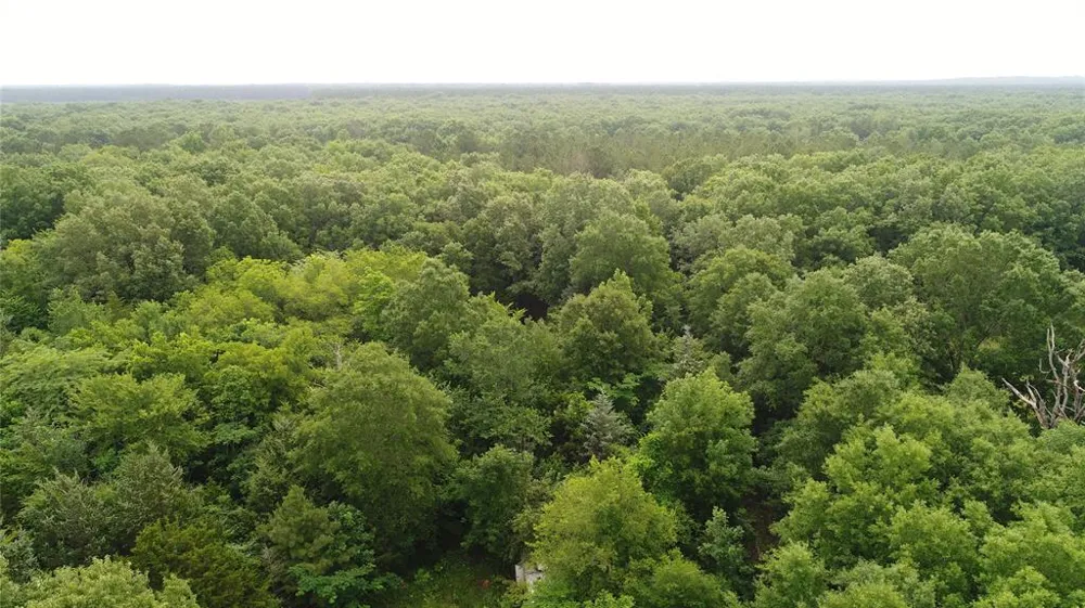 FM 1699 Clarksville, TX 75426