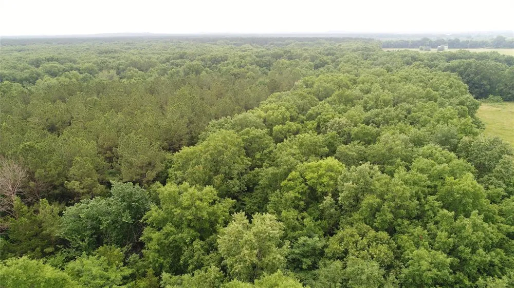 FM 1699 Clarksville, TX 75426