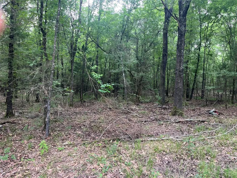 FM 1699 Clarksville, TX 75426