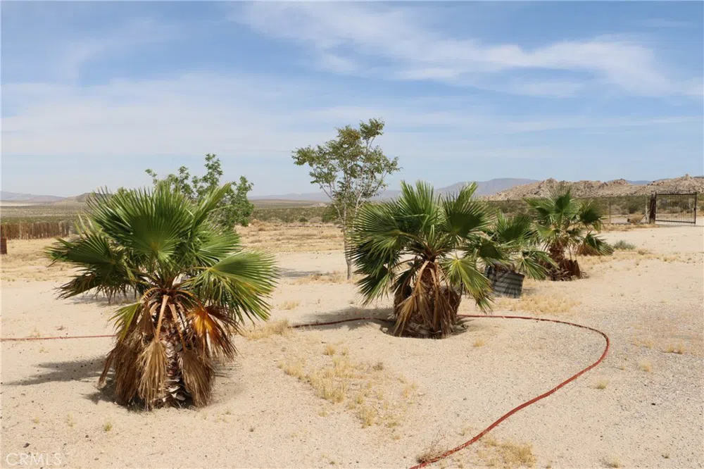 42480 Buckeye Lane Lucerne Valley, CA 92356