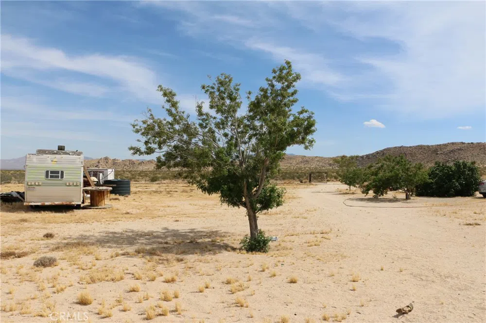 42480 Buckeye Lane Lucerne Valley, CA 92356