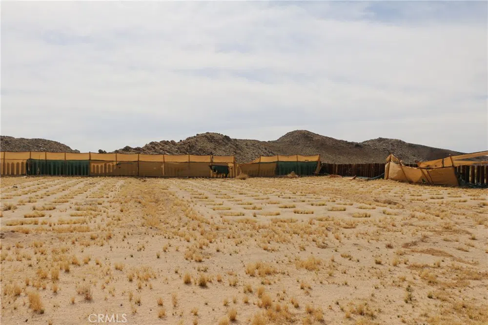 42480 Buckeye Lane Lucerne Valley, CA 92356