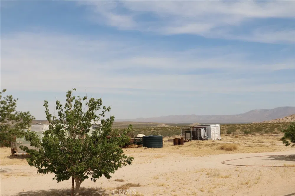 42480 Buckeye Lane Lucerne Valley, CA 92356