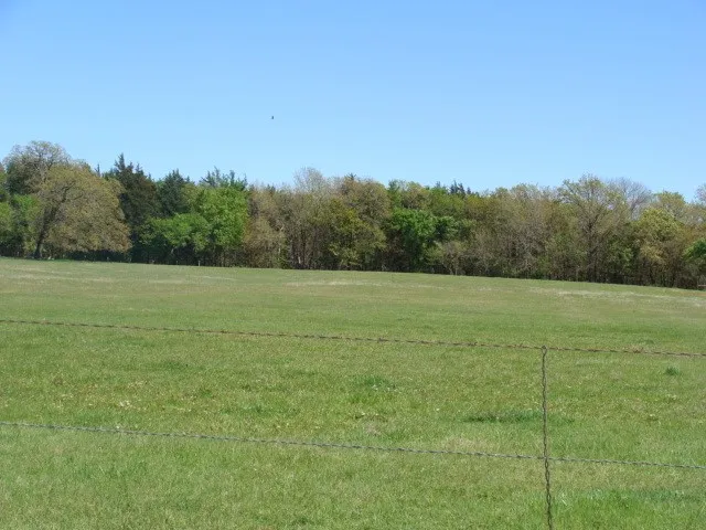 TBD2 Fleming Road Bells, TX 75414