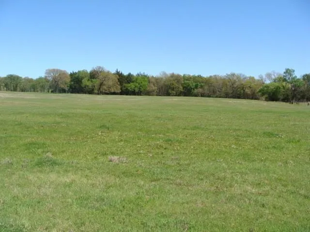 TBD2 Fleming Road Bells, TX 75414